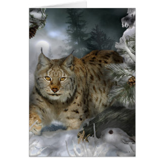 Winter Lynx Cards