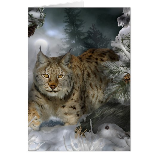 Winter Lynx Cards (Front)