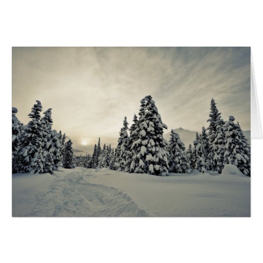 Winter Magic Cards (Front Horizontal)