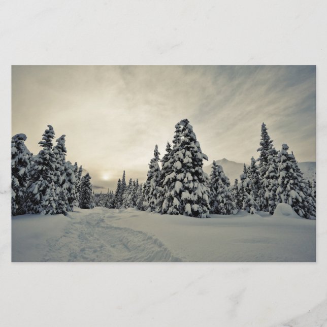 Winter Magic Stationery (Front)