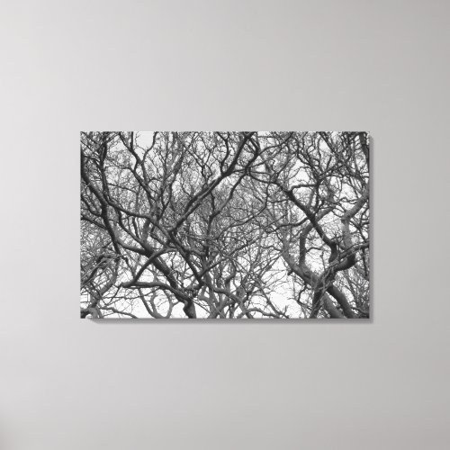 Winter Magnolia Branches in Early Spring BW Canvas Print
