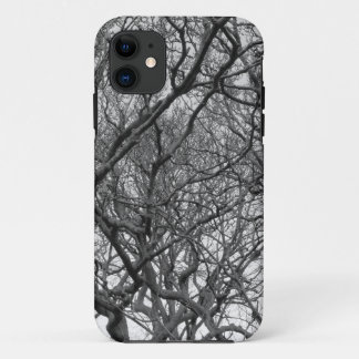 Winter Magnolia Branches in Early Spring iPhone 11 Case