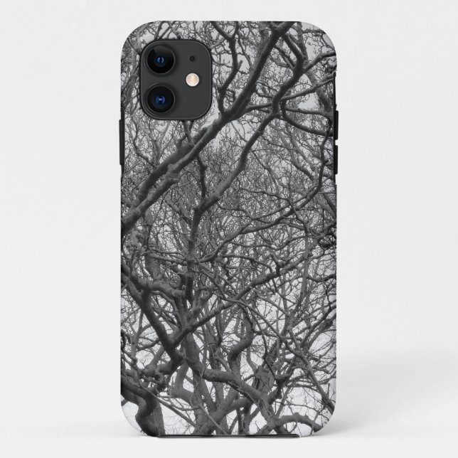 Winter Magnolia Branches in Early Spring Case-Mate iPhone Case (Back)