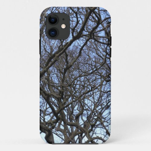 Winter Magnolia Branches in Early Spring iPhone 11 Case