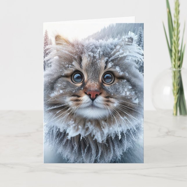 Winter Maine Coon Cat Birthday Humor Card (Front)