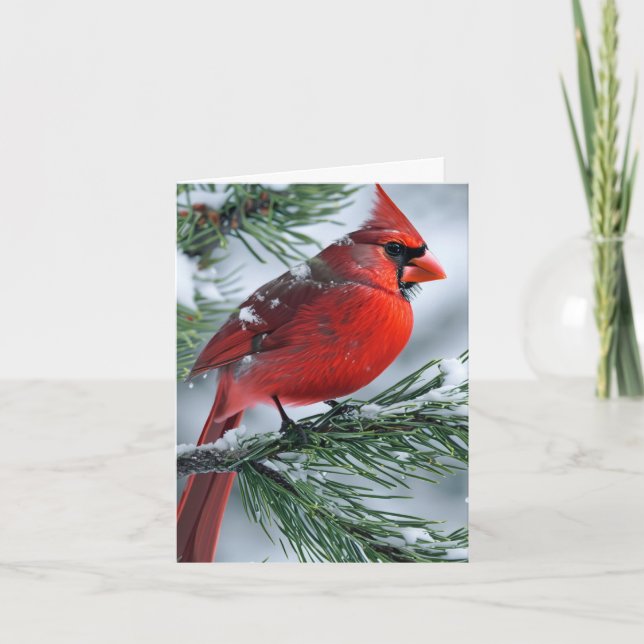 Winter Male Cardinal Bird Christmas Party Wedding Invitation (Front)