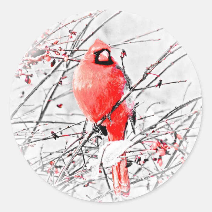 WINTER MALE CARDINAL STICKER