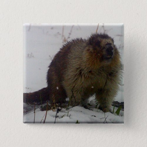Winter Marmot Button