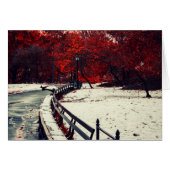 Winter Meets Fall in Central Park, NYC (Front Horizontal)