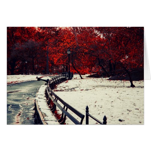 Winter Meets Fall in Central Park, NYC Cards (Front Horizontal)