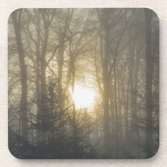 Winter mood beverage coaster (Front)