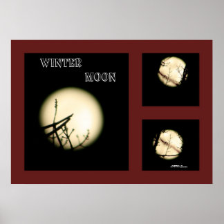 Winter Moon Collage Poster