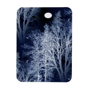 Winter Moon... Magnet