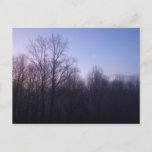 Winter Moon Morning Landscape Photography Postcard