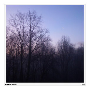 Winter Moon Morning Landscape Photography Wall Sticker