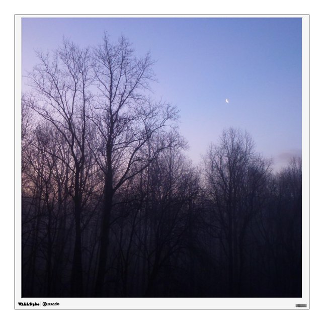 Winter Moon Morning Landscape Photography Wall Sticker (Front)