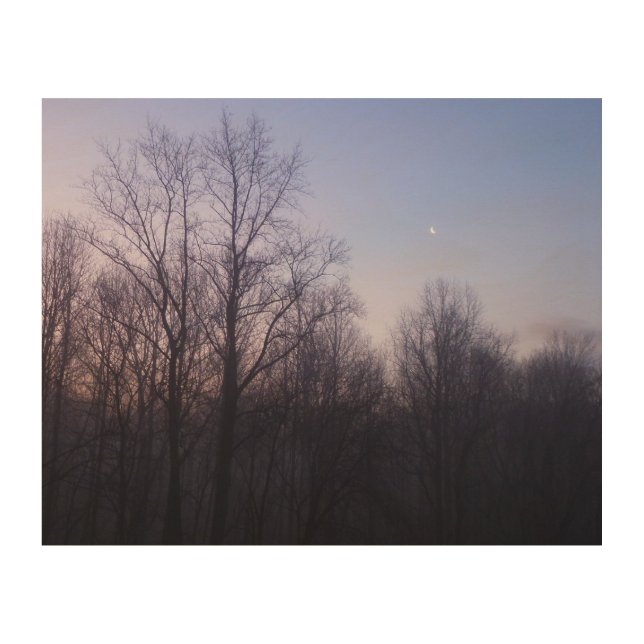 Winter Moon Morning Landscape Photography Wood Wall Art (Front)