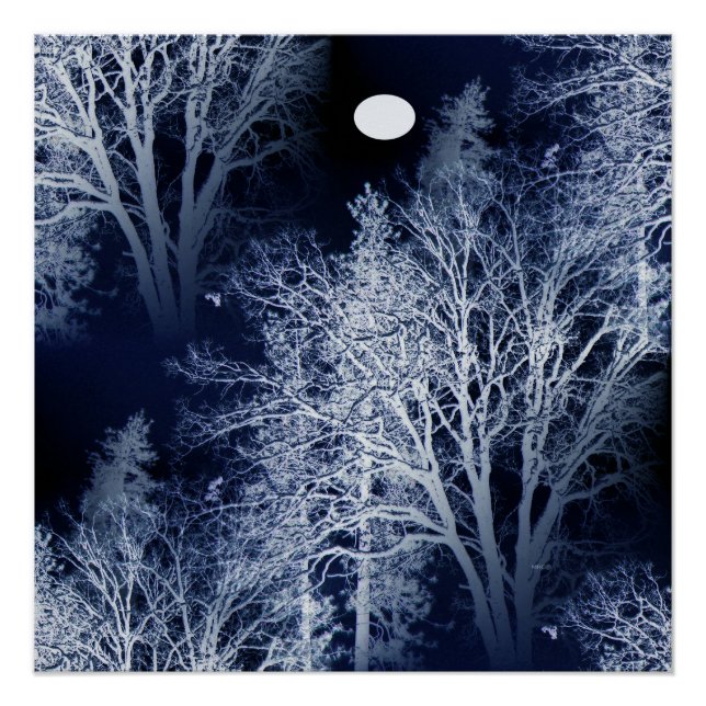 Winter Moon... Poster (Front)