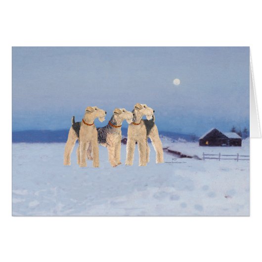 Winter Moonlight Cards (Front Horizontal)