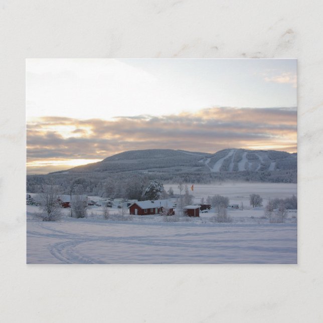 Winter Morning #1 Postcard (Front)