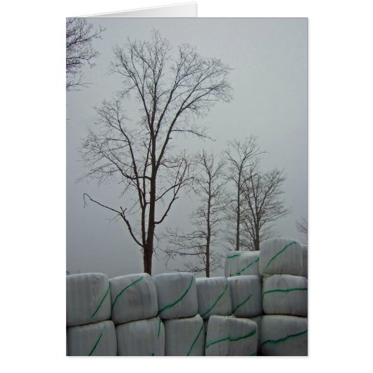 Winter Morning 5x7 (Front)