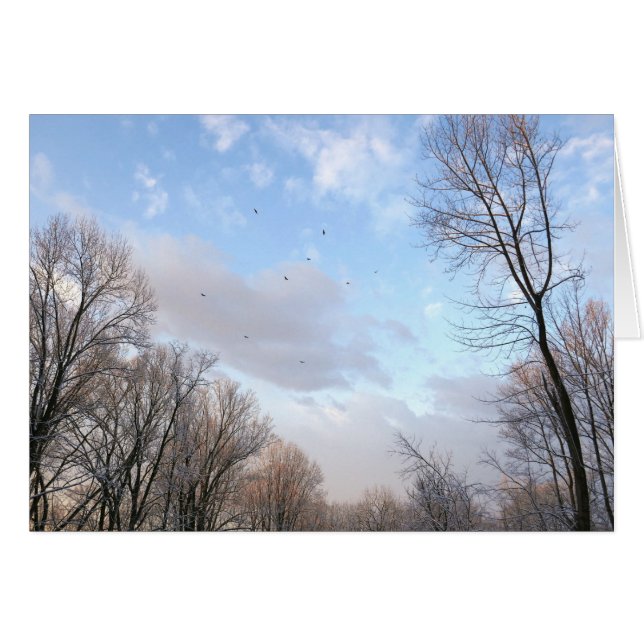 Winter Morning I Cards (Front Horizontal)