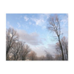 Winter Morning I Postcard