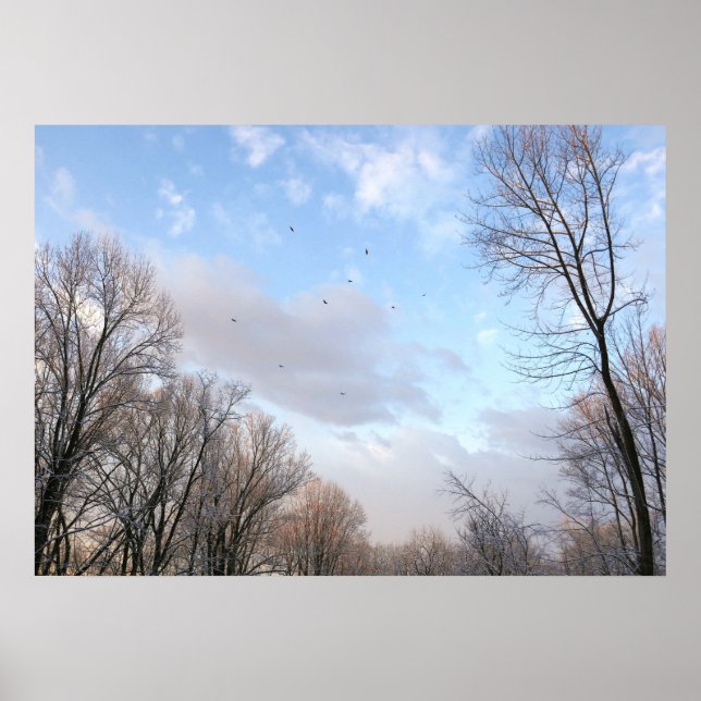 Winter Morning I Poster (Front)