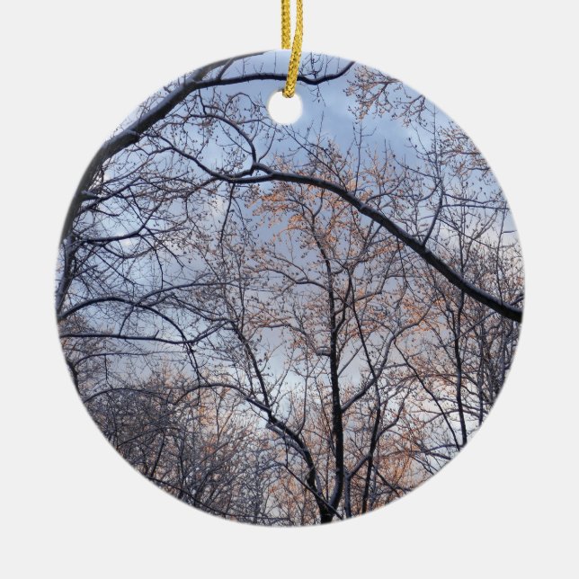 Winter Morning II Nature Landscape Ceramic Ornament (Front)