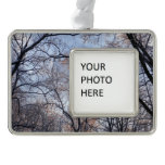 Winter Morning II Nature Landscape Christmas Ornament