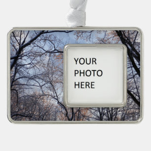 Winter Morning II Nature Landscape Christmas Ornament