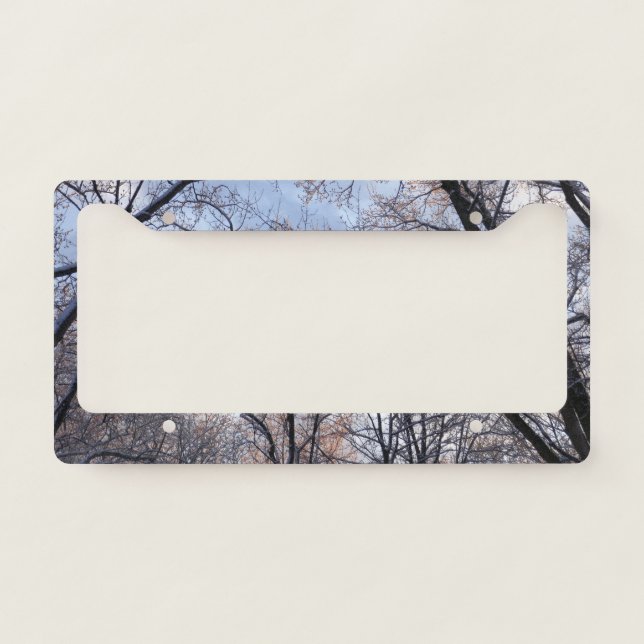 Winter Morning II Nature Landscape License Plate Frame (Front)
