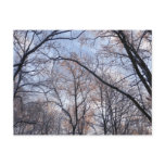 Winter Morning II Nature Landscape Postcard
