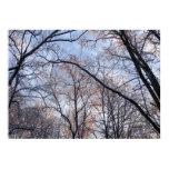 Winter Morning II Nature Landscape Poster