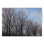 Winter Morning III Nature Landscape Cards
