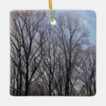 Winter Morning III Nature Landscape Ceramic Ornament