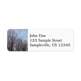 Winter Morning III Nature Landscape Label