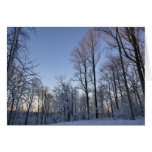 Winter Morning Light I Landscape Cards