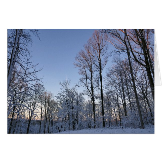 Winter Morning Light I Landscape Cards (Front Horizontal)