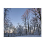 Winter Morning Light I Landscape Postcard