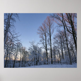 Winter Morning Light I Landscape Poster