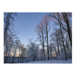 Winter Morning Light I Poster