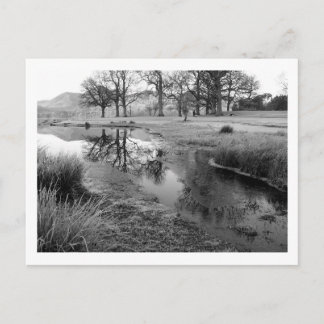Winter Morning: Strandshag Bay, Derwentwater Postcard