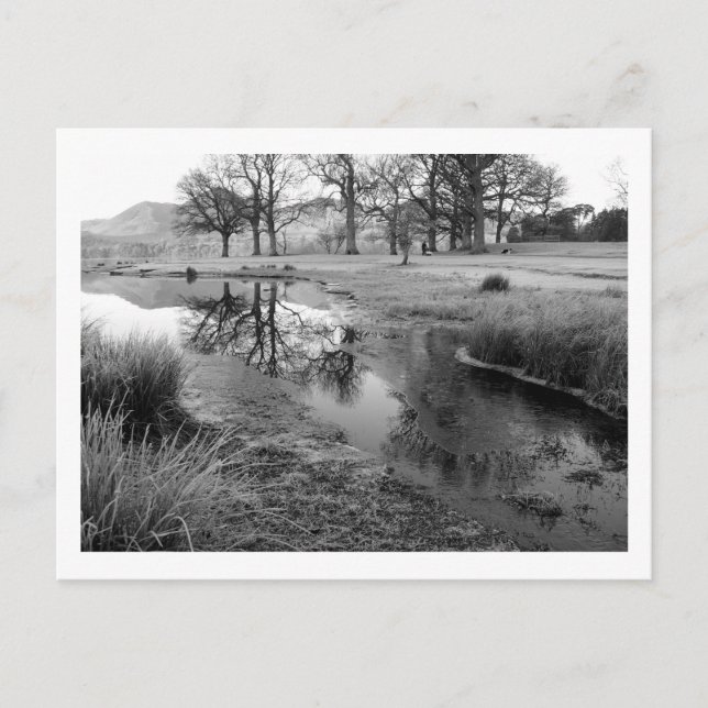 Winter Morning: Strandshag Bay, Derwentwater Postcard (Front)