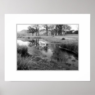 Winter Morning: Strandshag Bay, Derwentwater  Poster