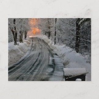 Winter Morning Sunshine Photography Postcard