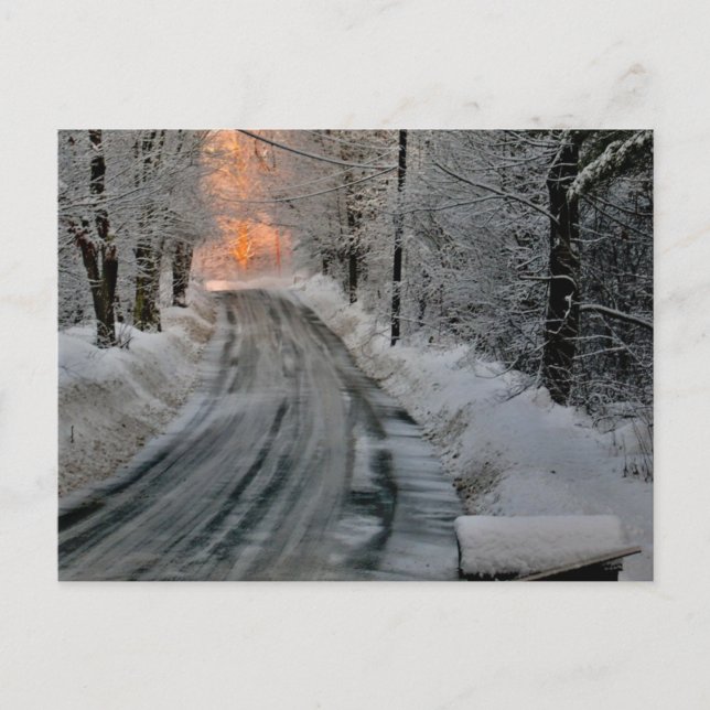 Winter Morning Sunshine Photography Postcard (Front)