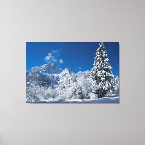 Winter Mountain Wonderland Canvas Print