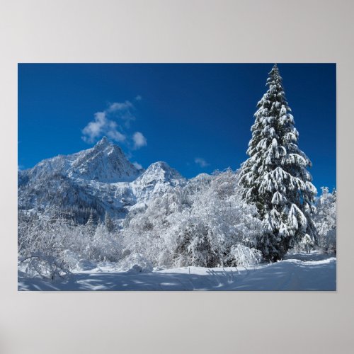 Winter Mountain Wonderland Poster