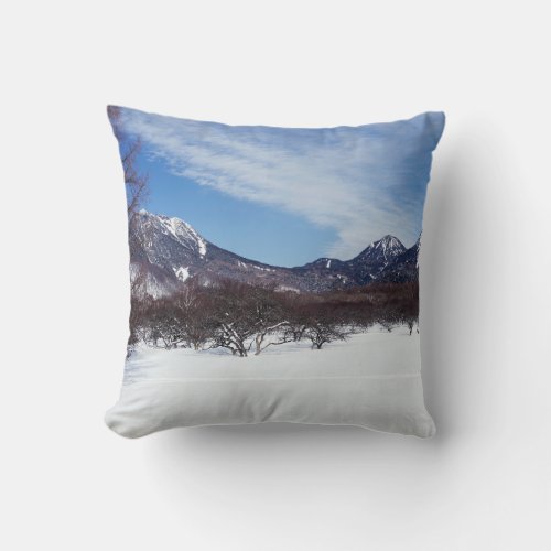 Winter Mountains Throw Pillow